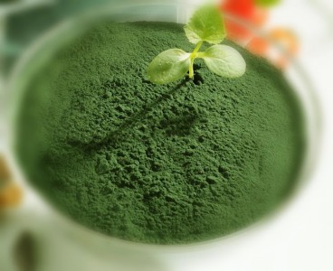 Tảo Spirulina - Giải tỏa nỗi lo ăn kiêng